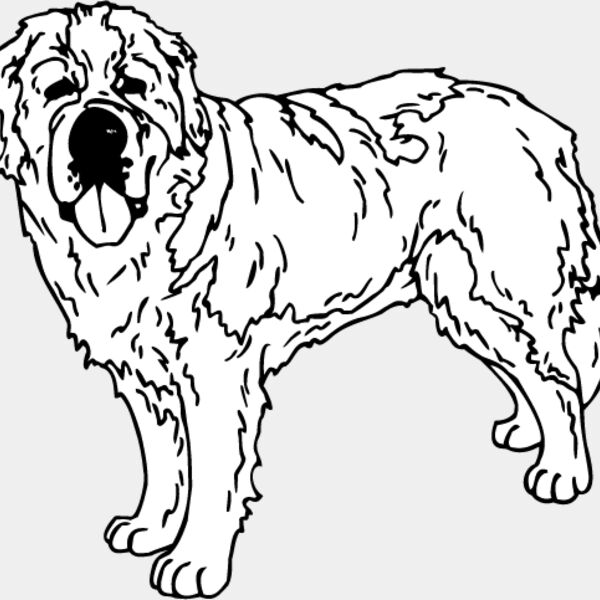 Saint Bernard Thumbnail