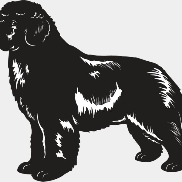 Newfoundland Thumbnail