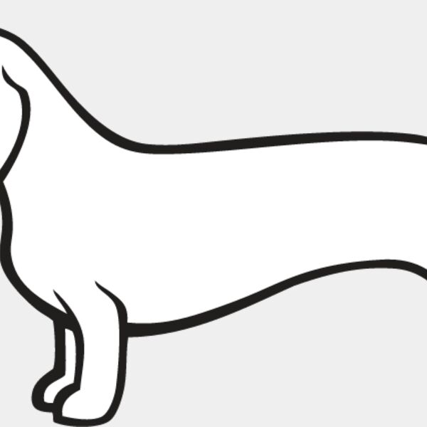 Dachshund4 Thumbnail