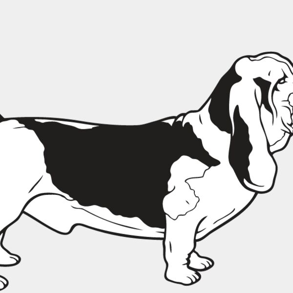 Basset Hound Thumbnail