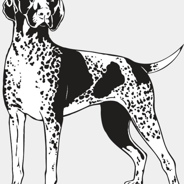 Shorthaired Pointer1 Thumbnail