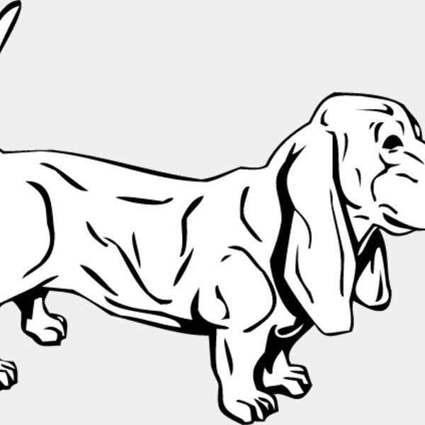 Dachshund5 Thumbnail