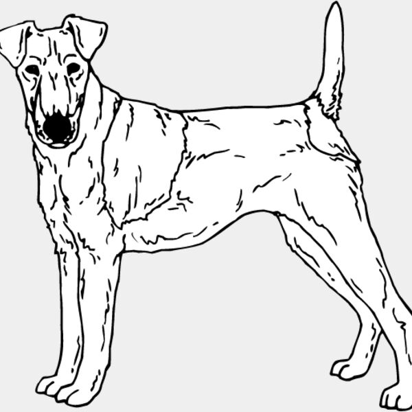 Fox Terrier Thumbnail