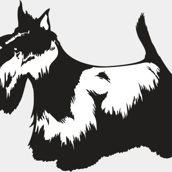 Scottish Terrier2 Thumbnail