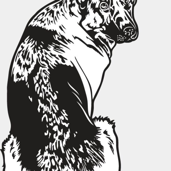 German Shepherd2 Thumbnail