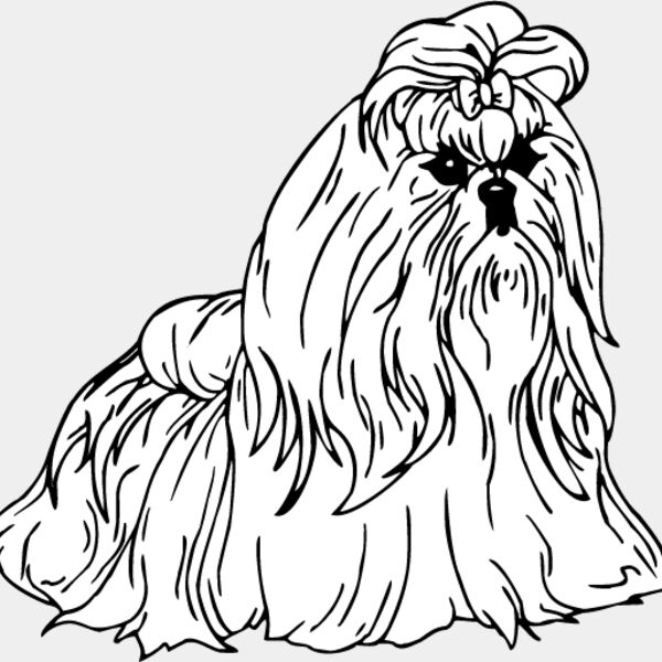 Shih Tzu2 Thumbnail
