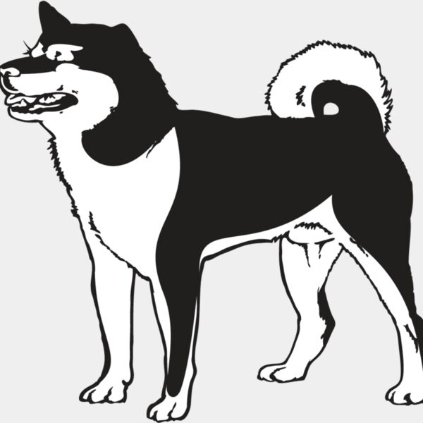 Shiba Inu2 Thumbnail