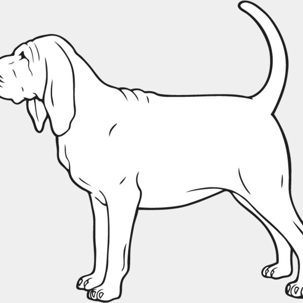 Bloodhound2 Thumbnail