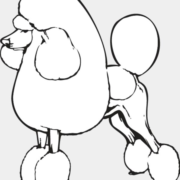 Poodle1 Thumbnail
