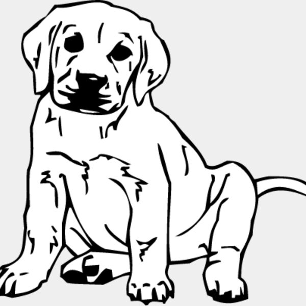 Labrador Puppy Thumbnail