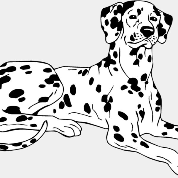 Dalmation2 Thumbnail
