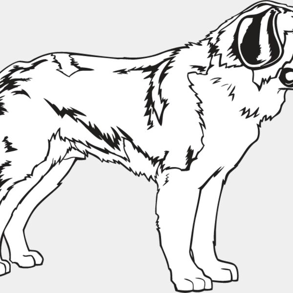 St  Bernard Thumbnail