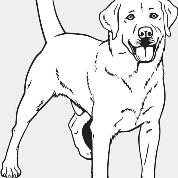 Labrador Retriever2 Thumbnail