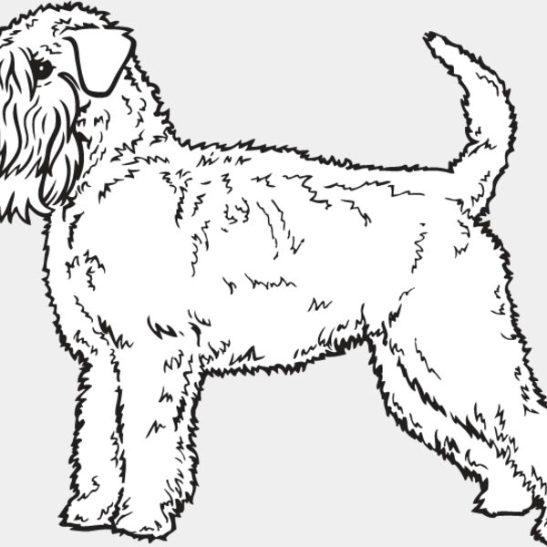 Wheaton Terrier Thumbnail