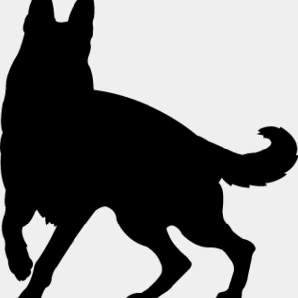German Shepherd4 Thumbnail