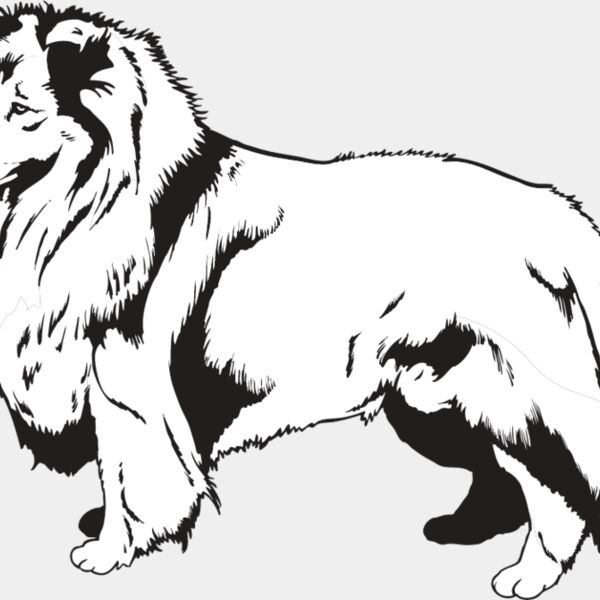 Shetland Sheepdog2 Thumbnail