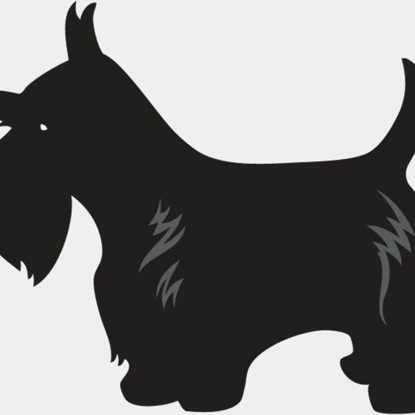 Scottish Terrier4 Thumbnail