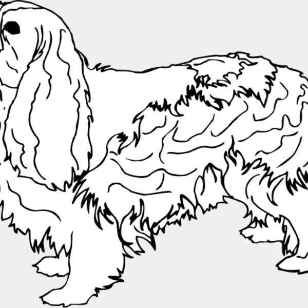 King Charles Spaniel1 Thumbnail