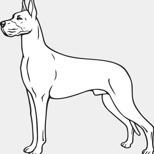 Great Dane2 Thumbnail