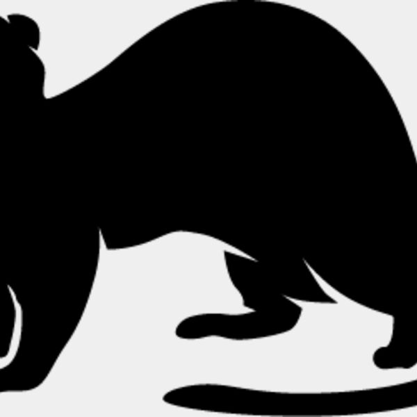 Ferret1 Thumbnail
