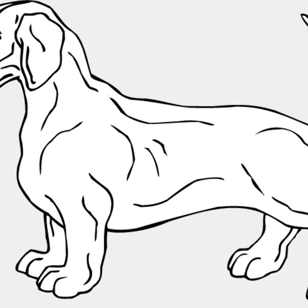 Dachshund1 Thumbnail