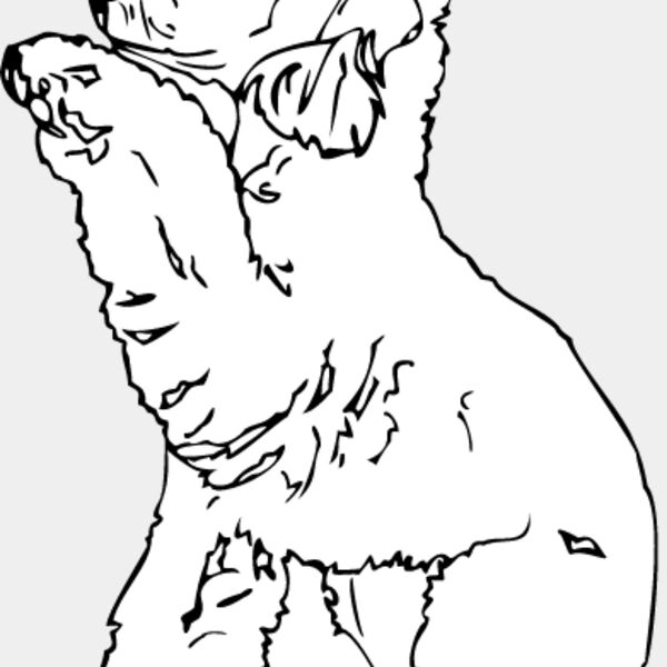 Bedlington Terrier Thumbnail