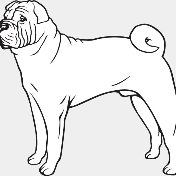 Shar Pei3 Thumbnail
