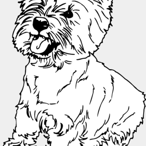 Highland Terrier1 Thumbnail