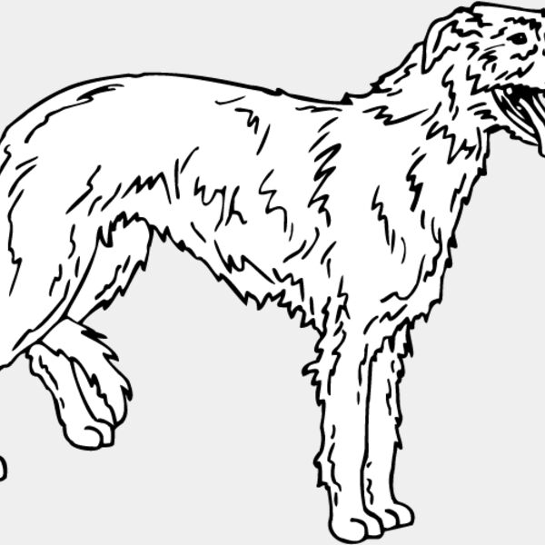 Scottish Deer Hound Thumbnail