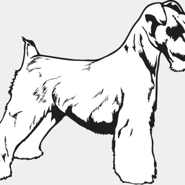 Miniature Schnauzer Thumbnail