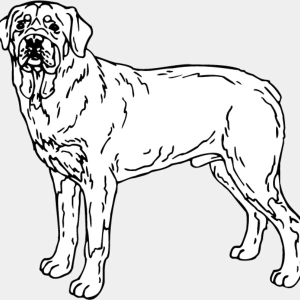 Rottweiler1 Thumbnail