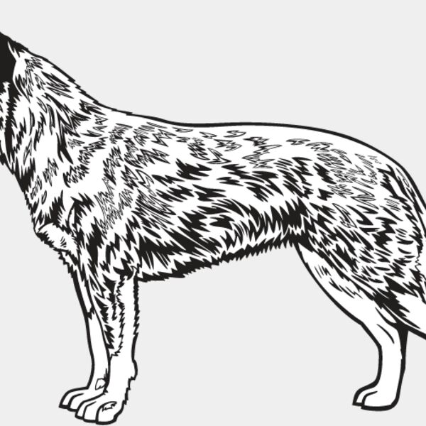 Australian Cattle Dog Thumbnail