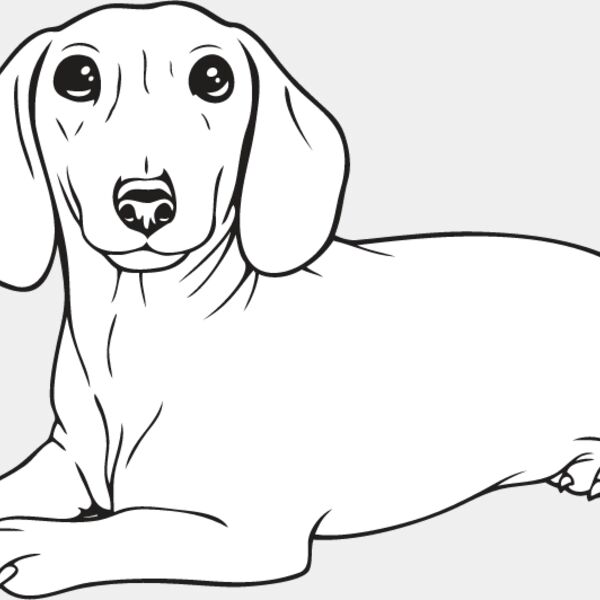 Dachshund3 Thumbnail