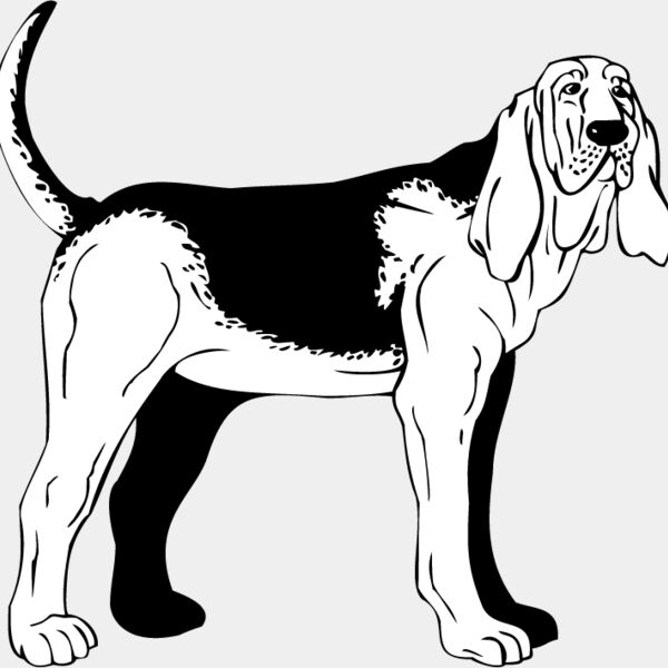 Bloodhound1 Thumbnail