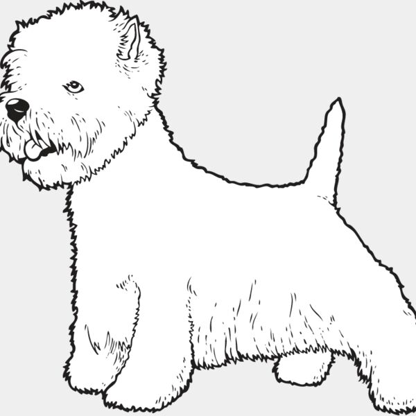 Highland Terrier2 Thumbnail