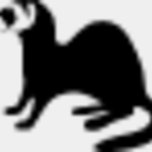 Ferret4 Thumbnail