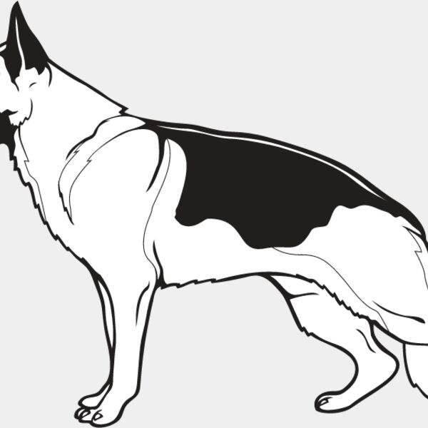 German Shepherd1 Thumbnail