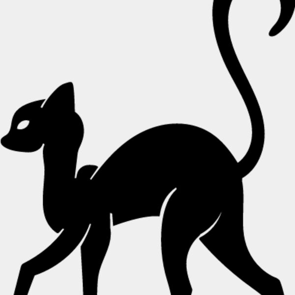 Elegant Cat6 Thumbnail