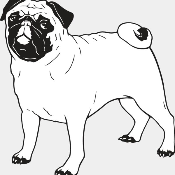 Pug1 Thumbnail
