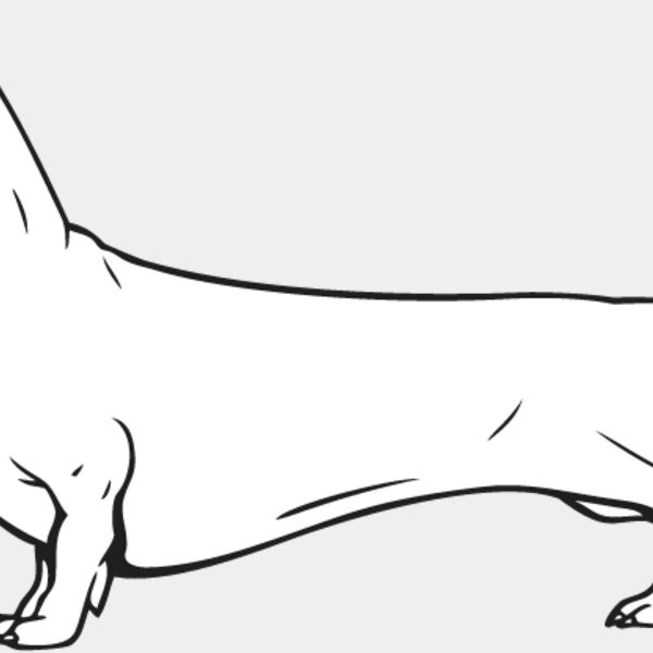 Dachshund2 Thumbnail