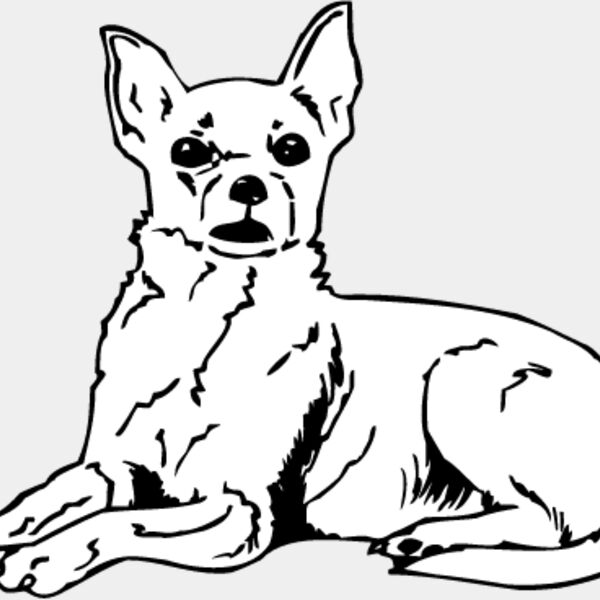 Chihuahua1 Thumbnail