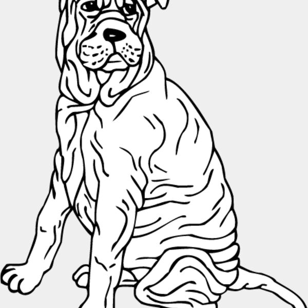 Shar Pei2 Thumbnail