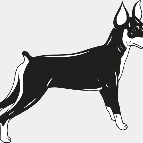 Miniature Pinscher Thumbnail