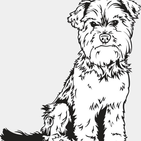 Yorkshire Terrier1 Thumbnail