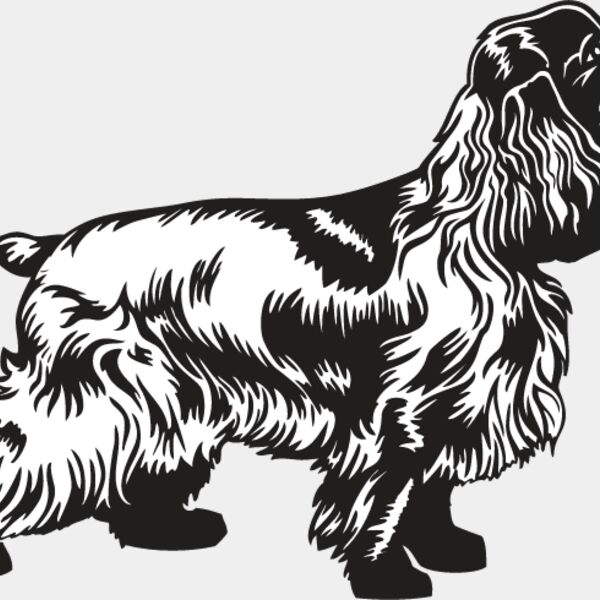 Cocker Spaniel2 Thumbnail