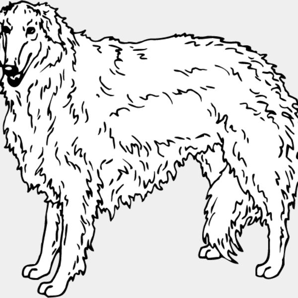 Borzoi Thumbnail