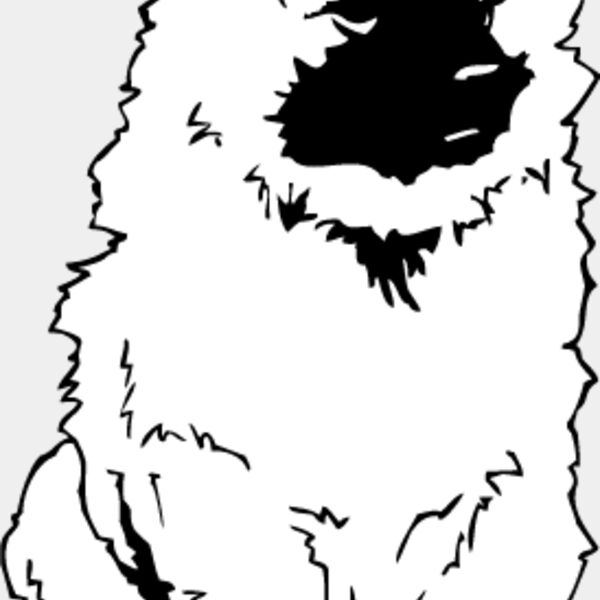 Keeshond Thumbnail