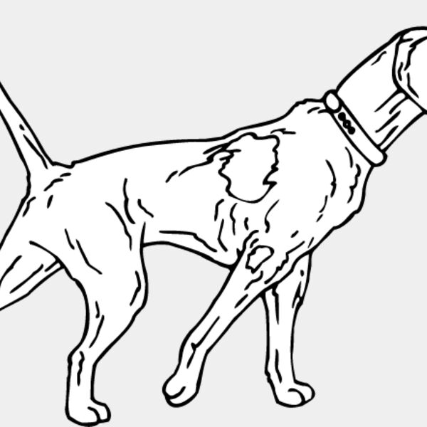 Shorthaired Pointer2 Thumbnail