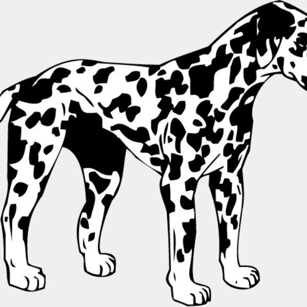 Dalmation1 Thumbnail