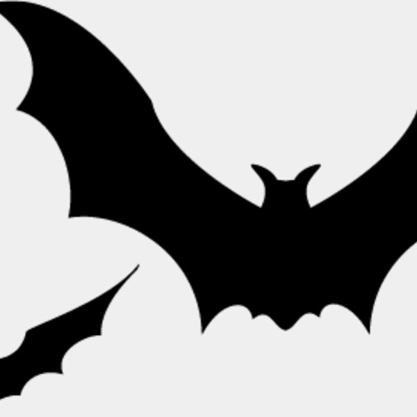 Bats3 Thumbnail